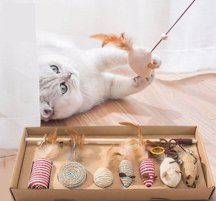 Paws & Play