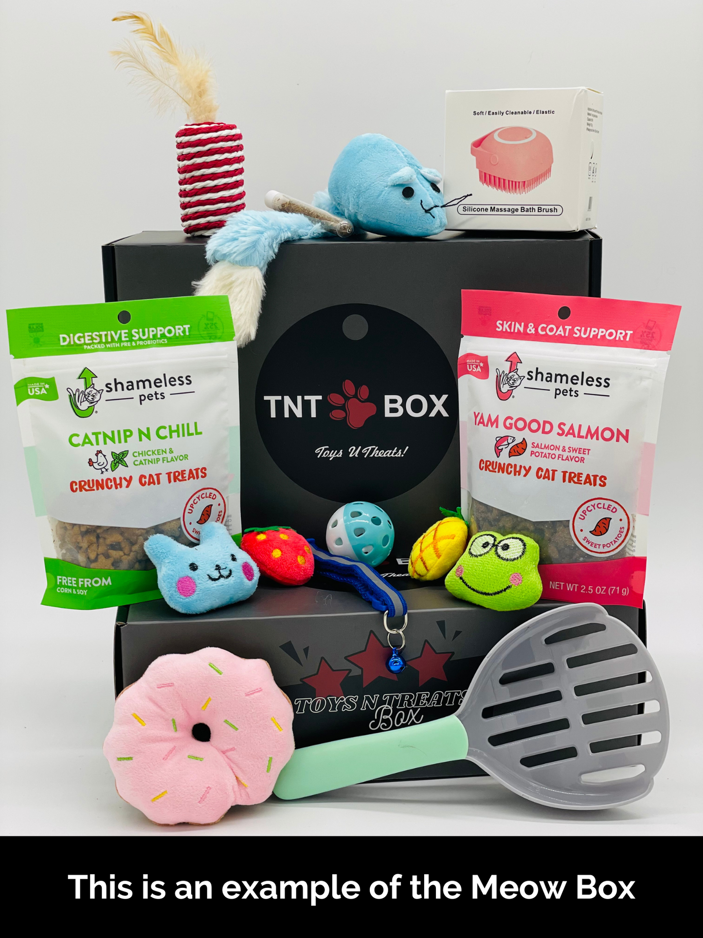 Toys N Treats Gift Boxes for Dogs & Cats