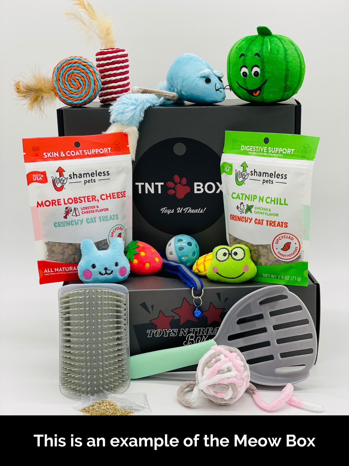 Toys N Treats Gift Boxes for Dogs & Cats