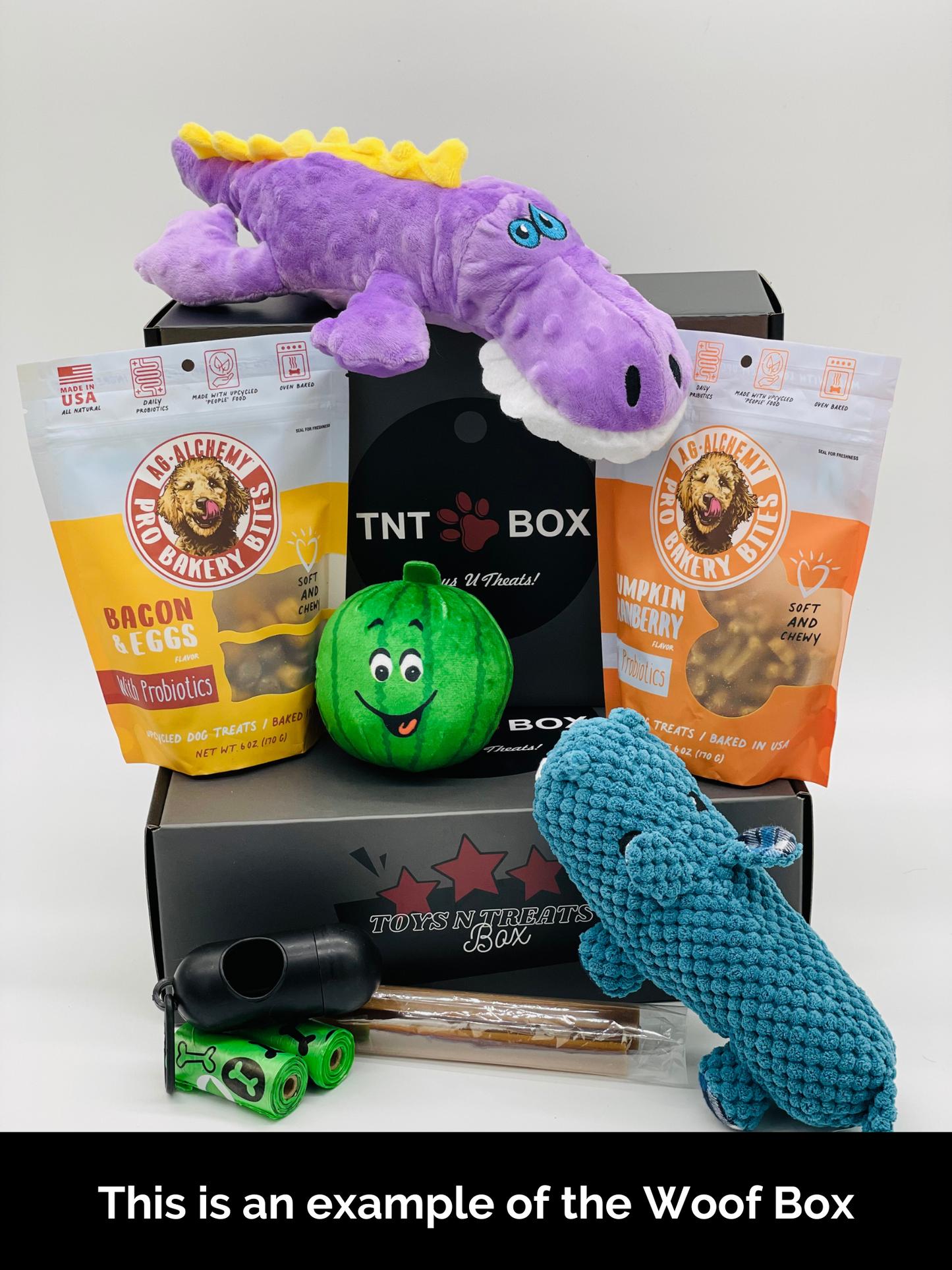 Toys N Treats Gift Boxes for Dogs & Cats