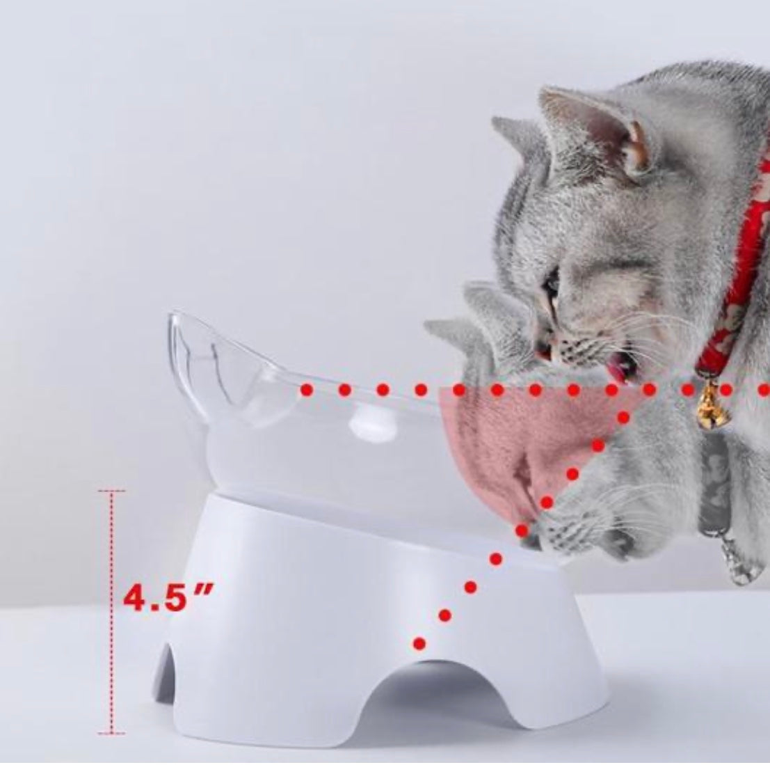 Elevated Cat Feeder – Designed for Comfort & Better Digestion