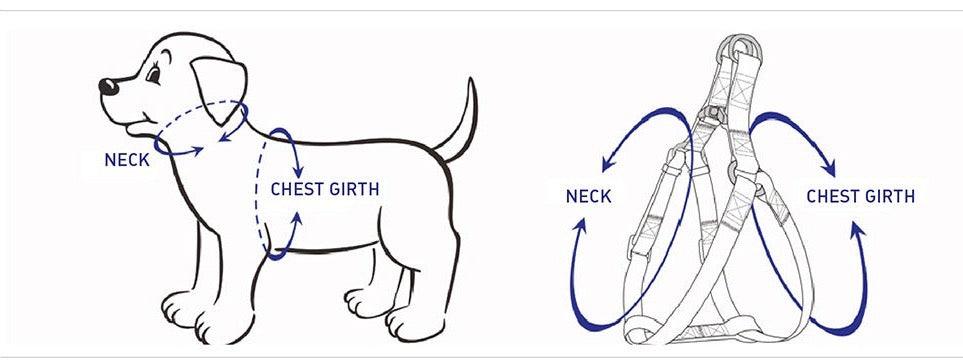 Charming & Comfortable Dog Harness