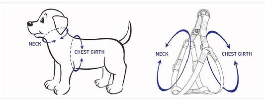 Cute & Comfortable Dog Harness