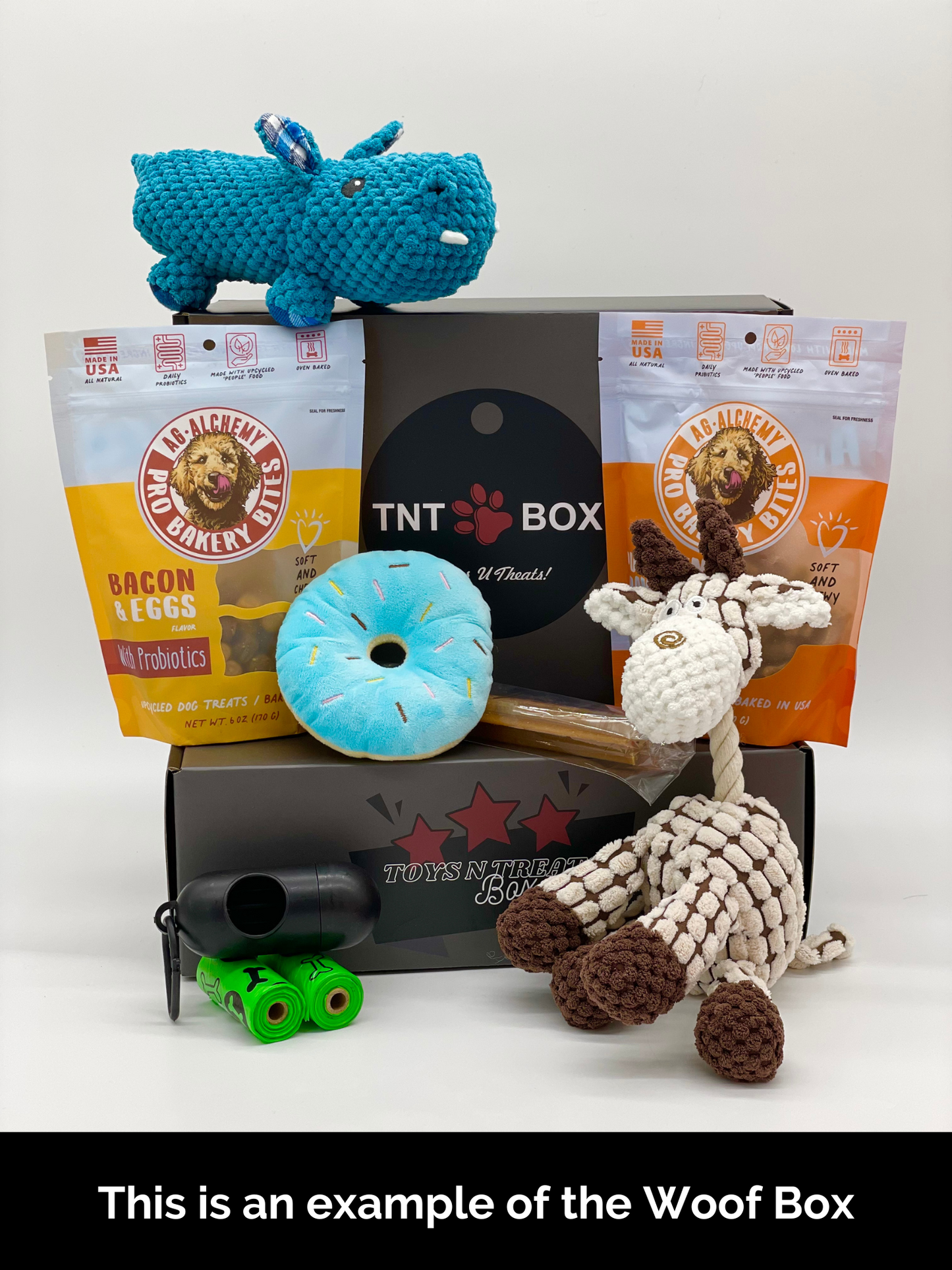 Toys N Treats Gift Boxes for Dogs & Cats