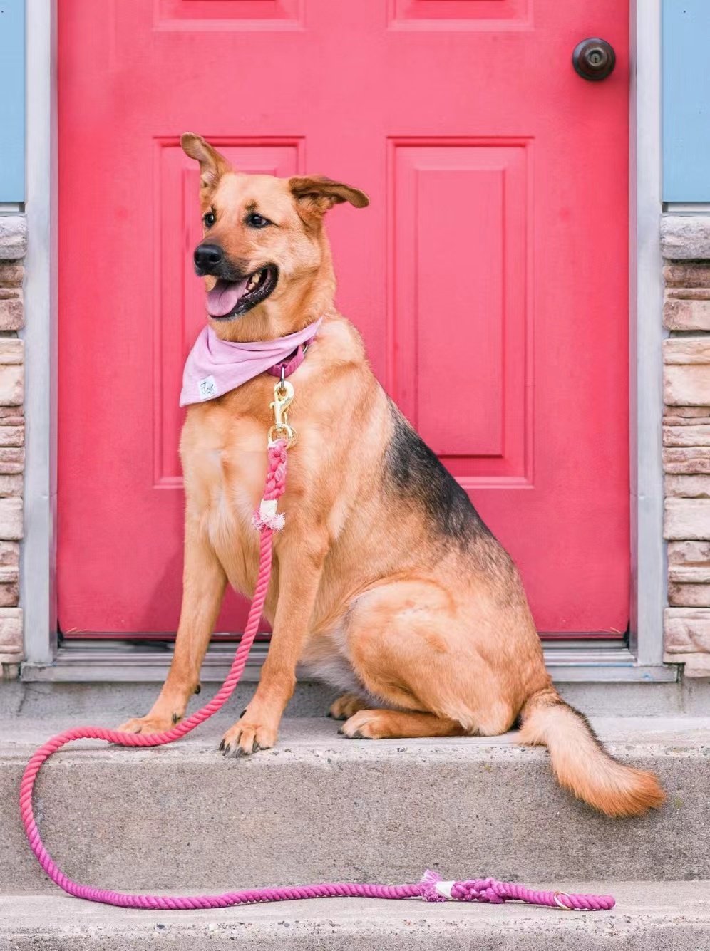 Luxe Royal Hot Pink Leather Rope Leash