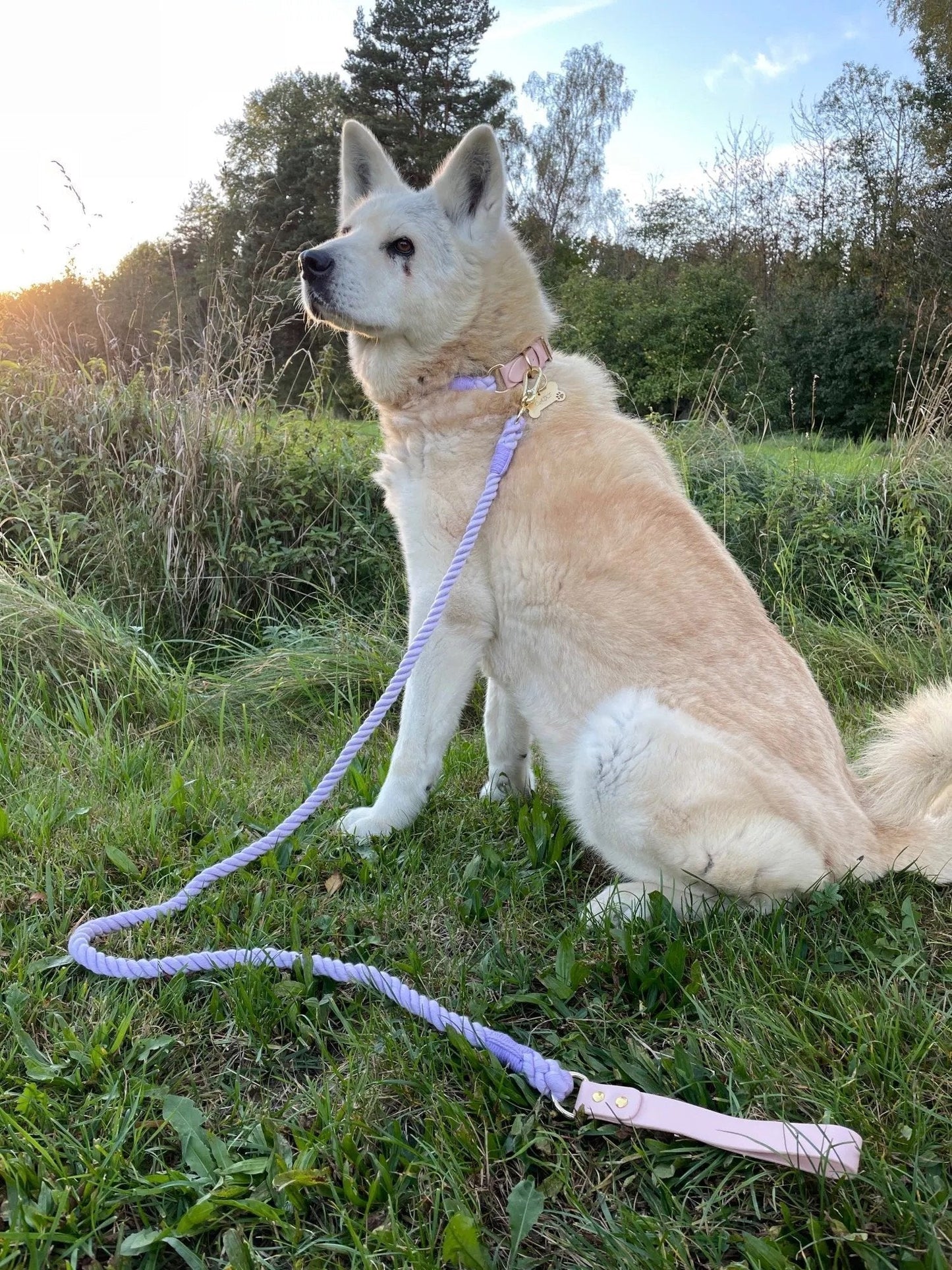 Luxe Royal Violet Leather Rope Leash