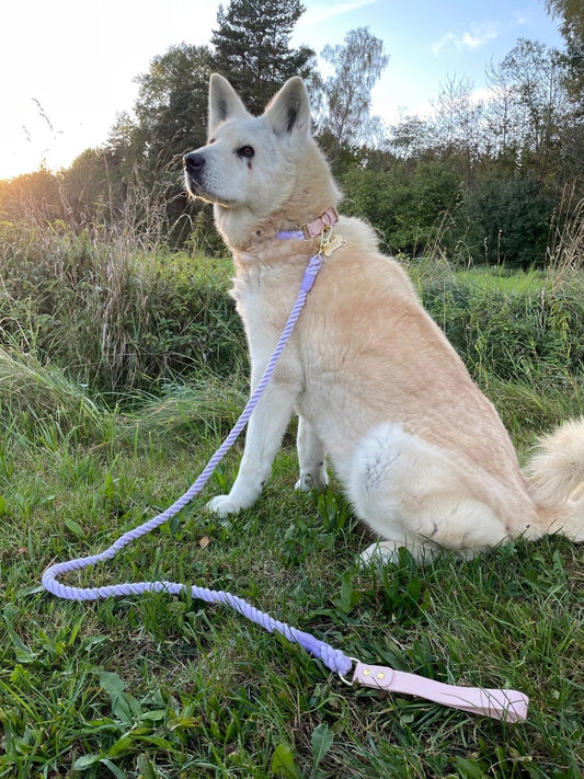 Luxe Royal Violet Leather Rope Leash