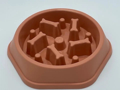 Slow Feeder Food Bowl