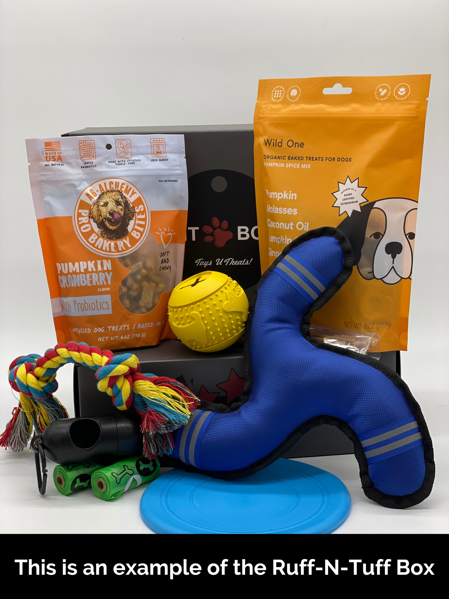 Toys N Treats Gift Boxes for Dogs & Cats