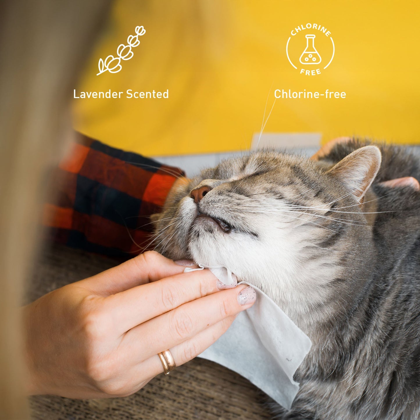 PET Care Bundle – Grooming & Cleaning Essentials for Dogs & Cats