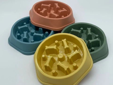 Slow Feeder Food Bowl